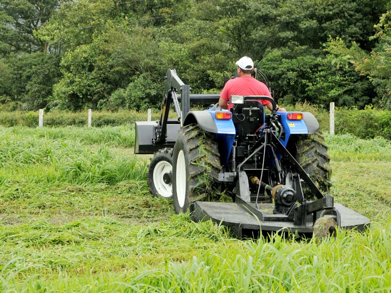 Bush Hogging is better than Mowing