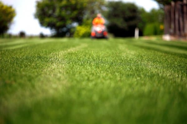 Landscape Grading in Spartanburg: Does Your Lawn Require It?